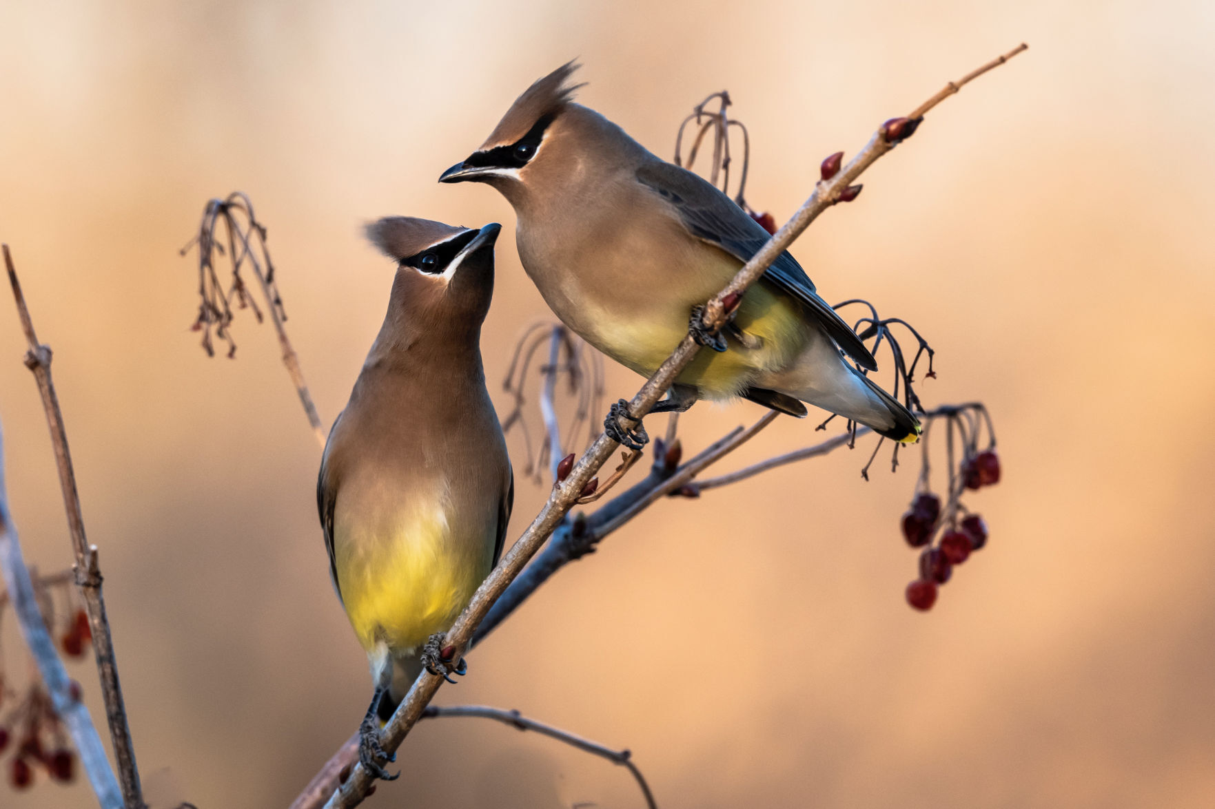 Tom White photography